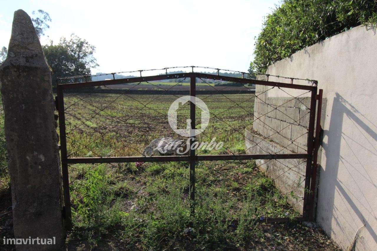 Terreno plano para construção com 5200m2 em Bagunte, Vila do Conde - Grande imagem: 5/8