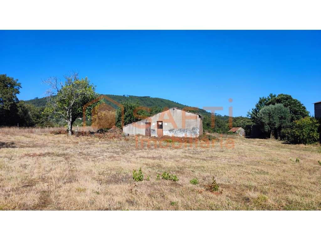 TERRENO URBANO COM RUÍNA - MAÇÃS DE DONA MARIA - Grande imagem: 2/10