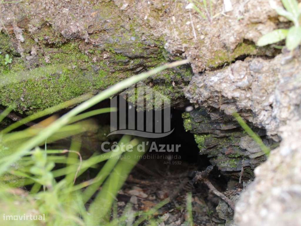 Terreno com 11 hectares - Odemira - Grande imagem: 2/26