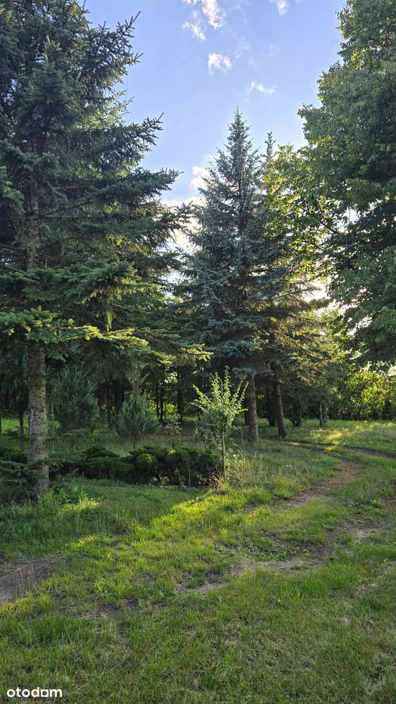 Dom jednorodzinny z budynkiem gospodarczym na dużej działce-15