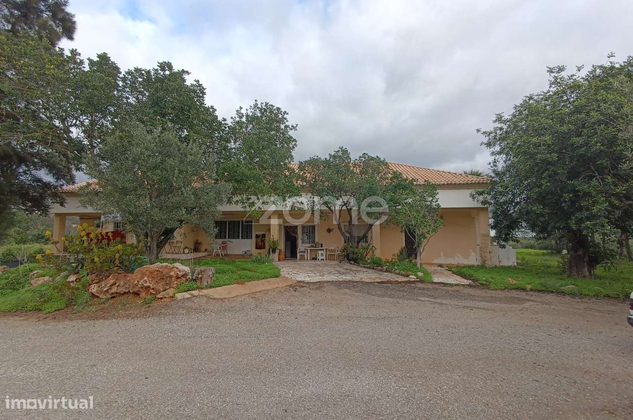 Moradia Isolada com terreno - Grande imagem: 3/20