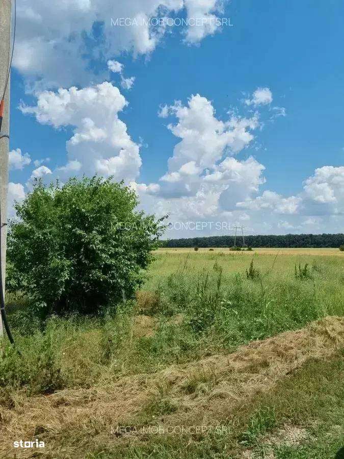 Terenuri pentru Cartier Rezidențial | 429 mp / Lot | Zonă Dezvoltare - Imagine principală: 4/7