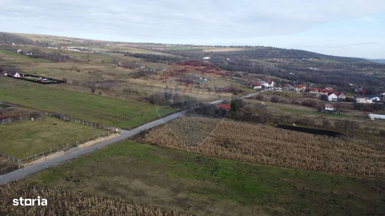 Teren 19.375 mp Dâmbu Rotund. Potențial rezidențial. Extravilan - Imagine principală: 5/13