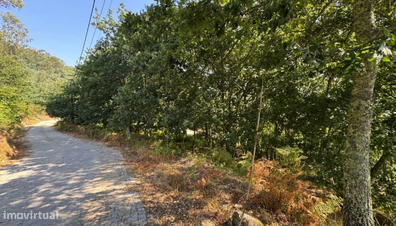 Venda Terreno, Boelhe, Penafiel-16