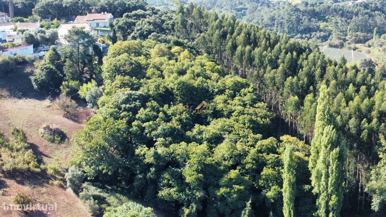 Terreno Rústico com 14.290 m² | Excelente Localização e Potencial-14