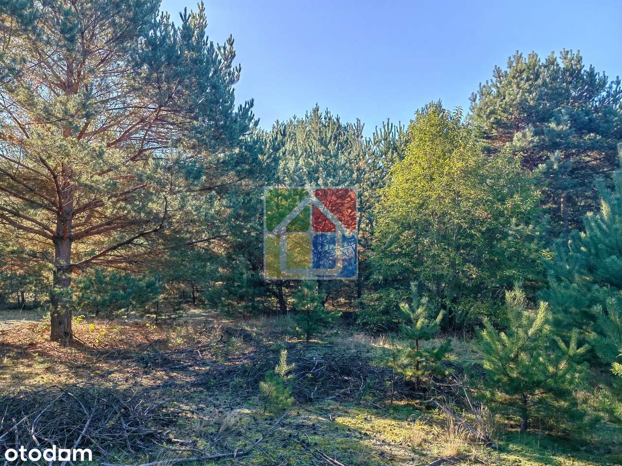 Działka pod zabudowę w otulinie Parku Krajobrazowego - Pełny obrazek: 5/7