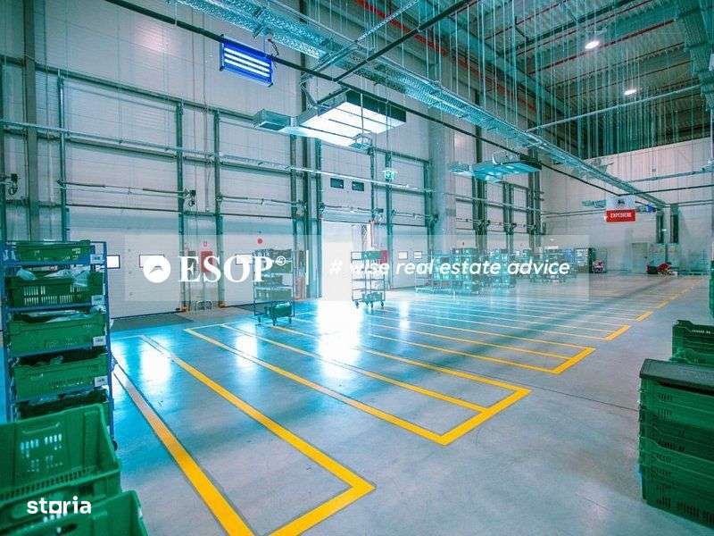 Hale de inchiriat Chitila, GLOBAL LOGISTIC PARK,  1.500 - 18.000mp - Imagine principală: 4/7