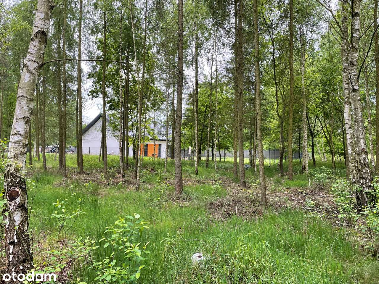 Wygodny dom w lesie !-8