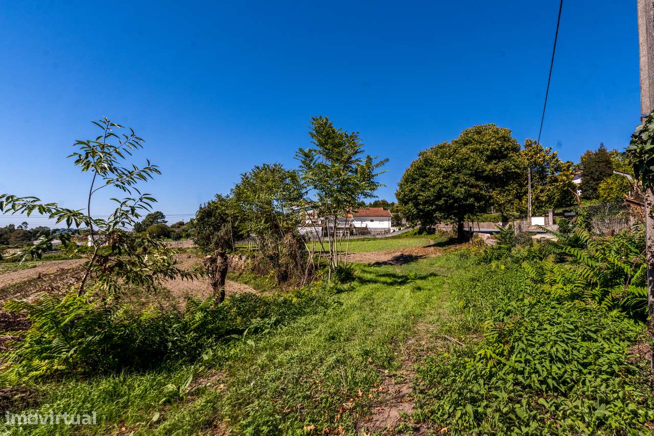 Terreno para construção de moradia individual-4