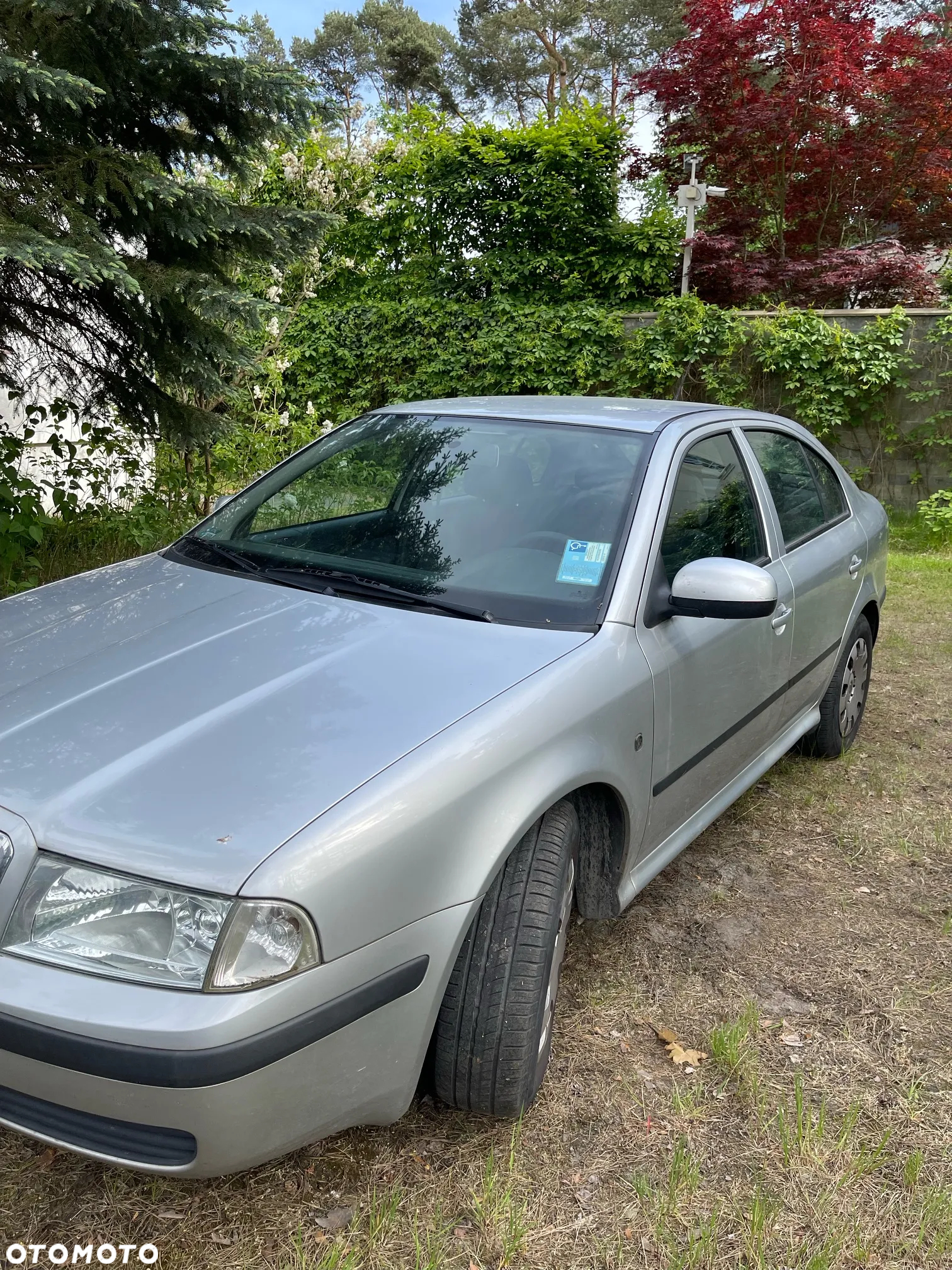 Skoda Octavia - 8