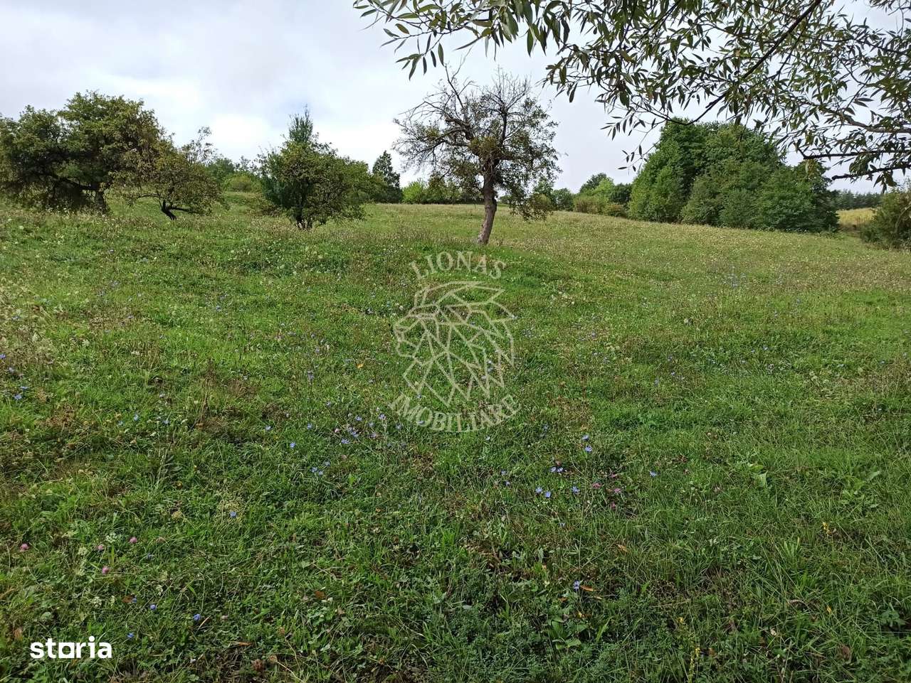 Teren intravilan 12600 mp-utilitati-ideal case, investitie-Livezile - Imagine principală: 2/6