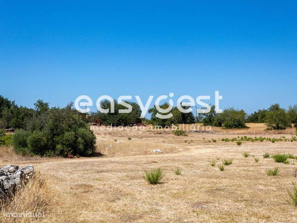 Terreno misto com ruina localizado em sitio do Pereiro-Moncarapacho - Grande imagem: 5/17