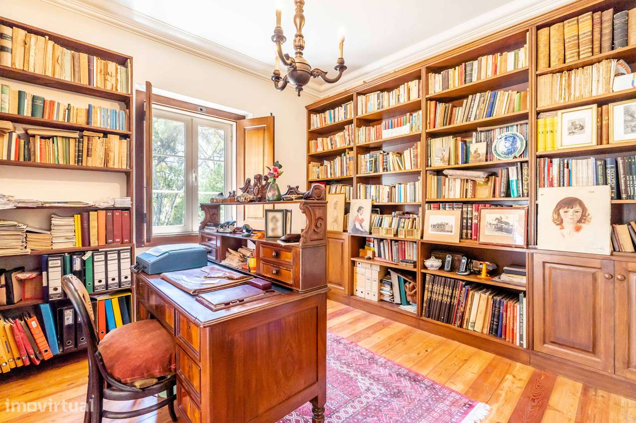 Quinta Histórica em Santarém com 539.460 m² - Grande imagem: 3/27