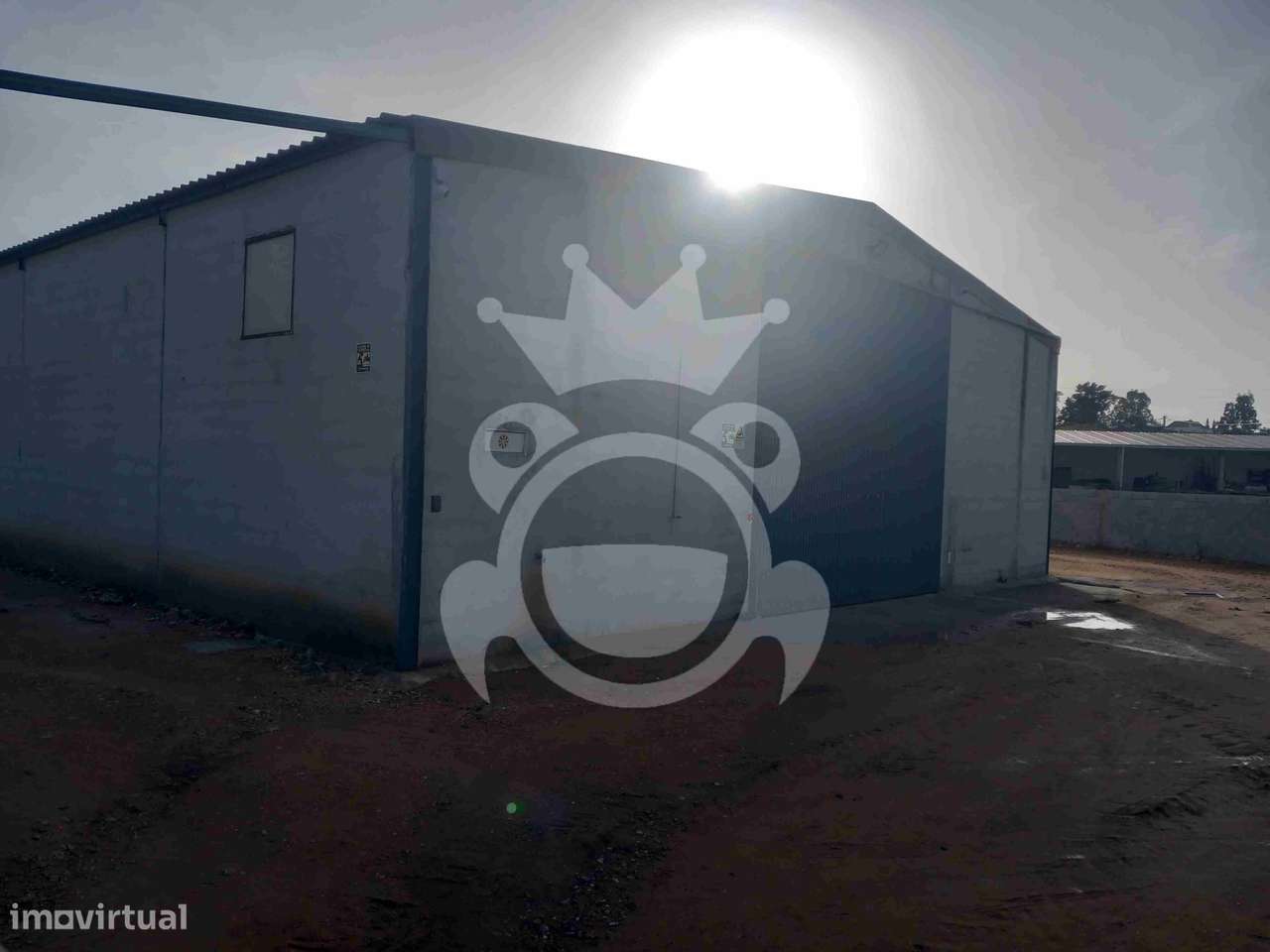 Armazém + Posto de recolha de azeitona - Grande imagem: 5/15