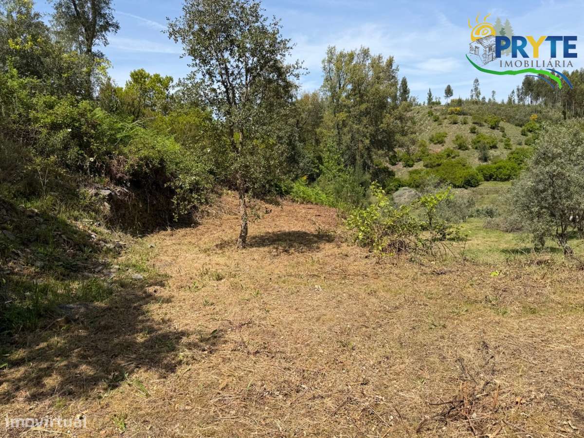 Terreno com uma ruína não registada a 6 quilómetros da Sertã-19