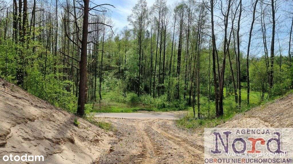 Działka z linią brzegową 66 M jeziora Dąbiel-5