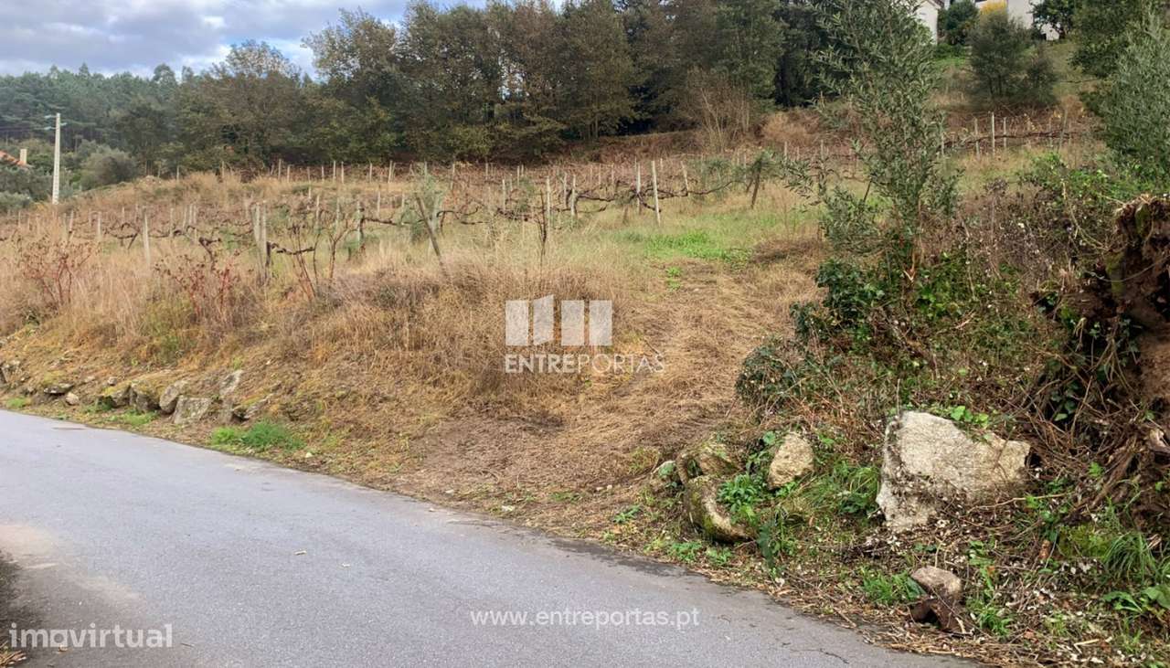 Venda de Terreno de construção com 5400m², Deocriste, Viana do Cast - Grande imagem: 4/30