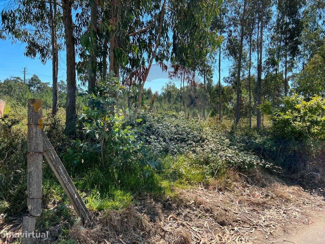 Terreno  para venda - Grande imagem: 3/6