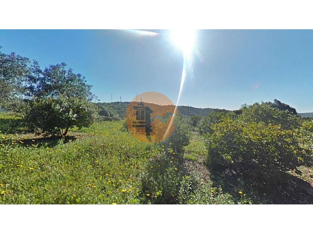 Terreno Rústico - Grande imagem: 2/25