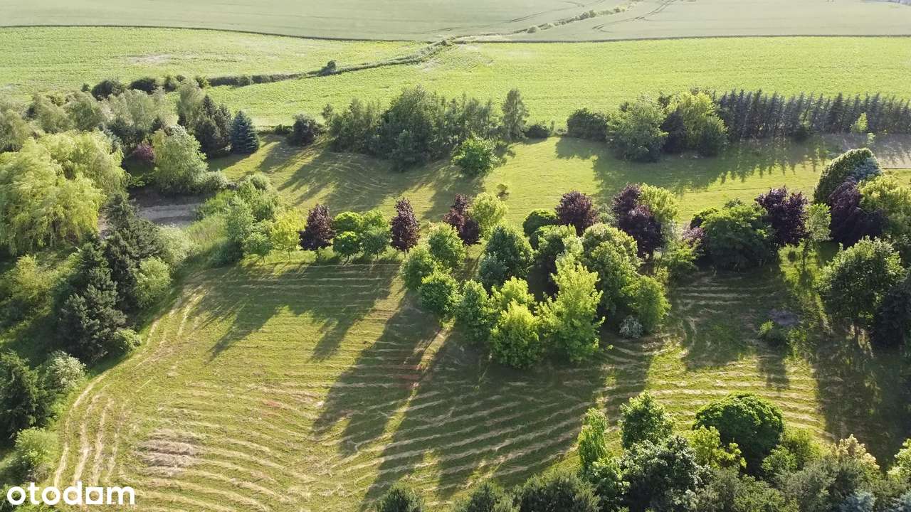 Działka budowlana 15000m2 miasto Gniezno - Pełny obrazek: 4/5