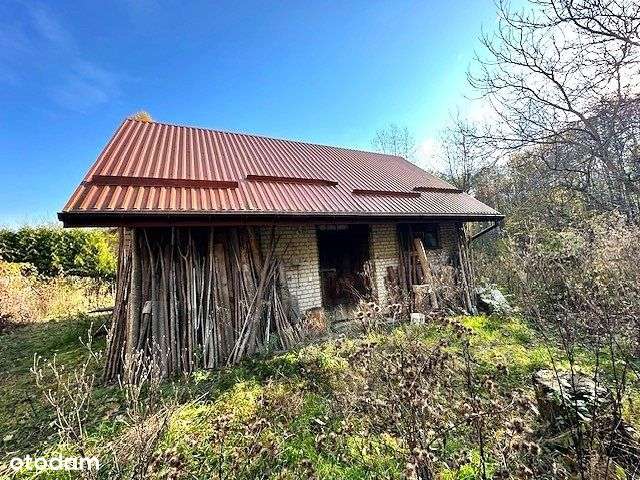 Na odludziu- dom pod lasem-3