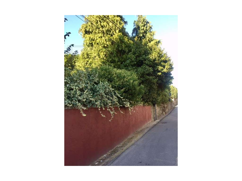 Moradia Senhorial em Guimarães - Grande imagem: 4/40