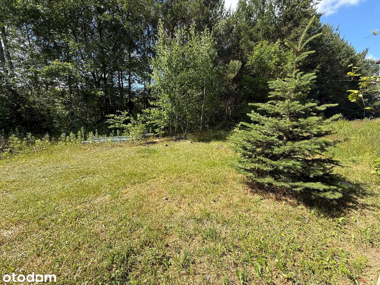 Dom przy lesie -  nad jeziorem Białe - Pełny obrazek: 4/20