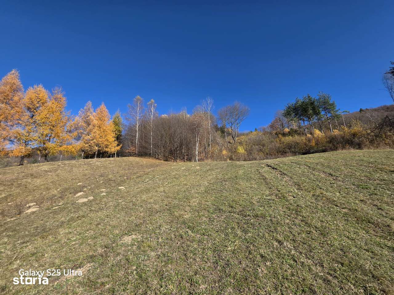 Oportunitate teren în cea mai pitorească zonă de munte! Comision zero!-7