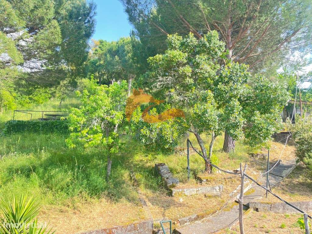 Casa da Montanha - O Refúgio Perfeito em Vila Cova de Alva, Arganil-41