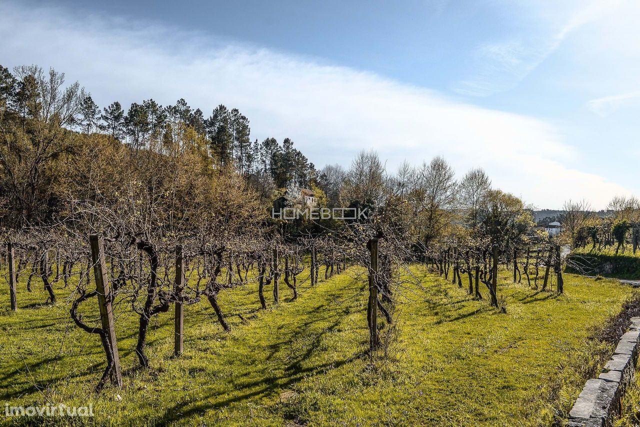 Propriedade de 5.8  hectares em travanca, Amarante