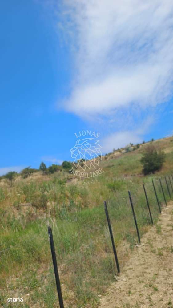 Teren de vânzare 5.665 mp, extravilan, Valea Fânațelor, Cluj-Napoca - Imagine principală: 3/7