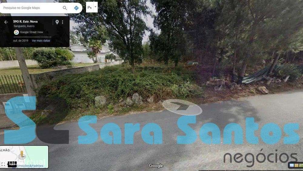 Terreno com 1800 m2 Viabilidade de construção-Sanguedo - Grande imagem: 2/3