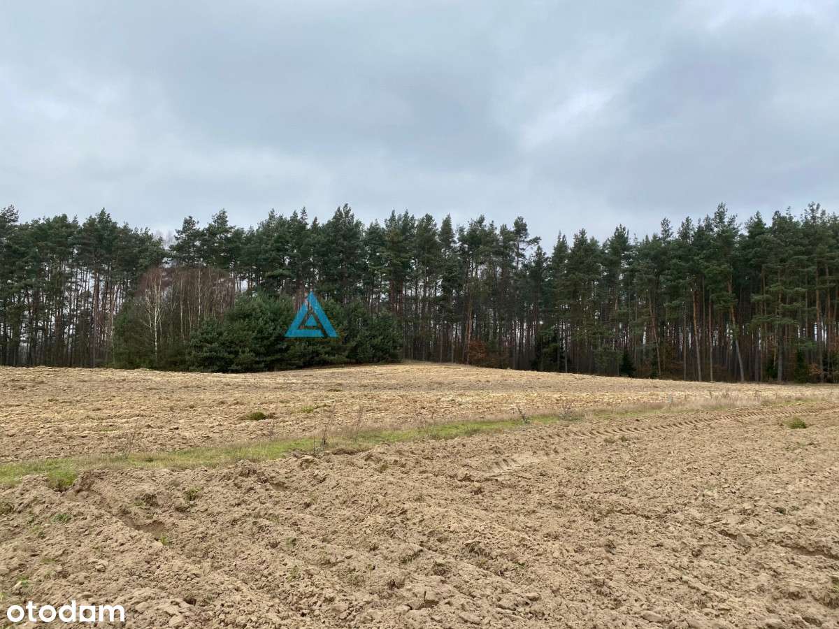 Duża Działka Budowlana W Górze/Gm. Stara Kiszewa - Pełny obrazek: 3/4