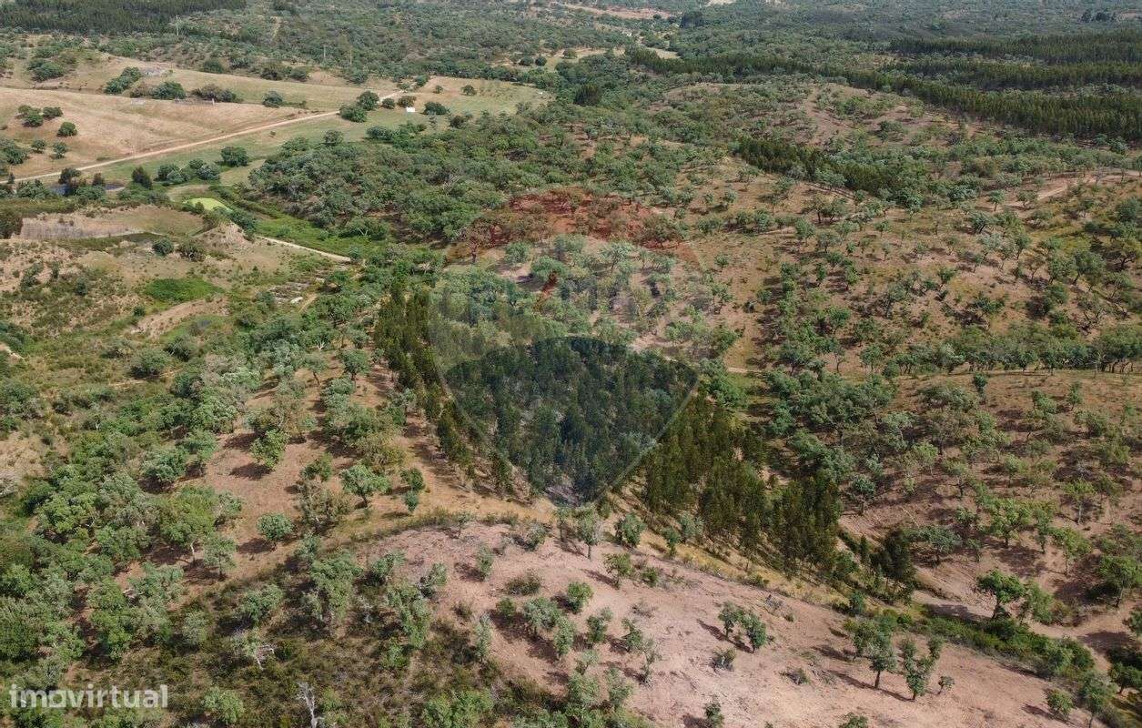 Terreno  para venda - Grande imagem: 4/4