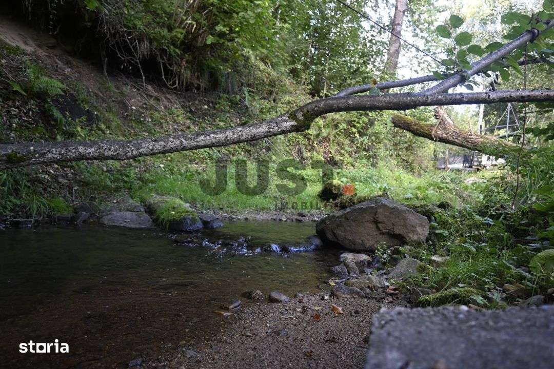 Problema e orașul. Soluția: un pârâu în curtea ta. Rasca/Valea Fericir-10