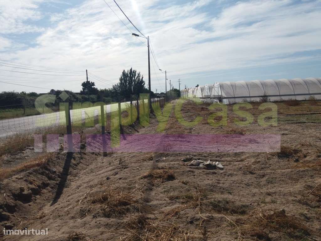 Moradia Ruina junto BA6 Montijo inserida em terreno c/ 3 ha-4