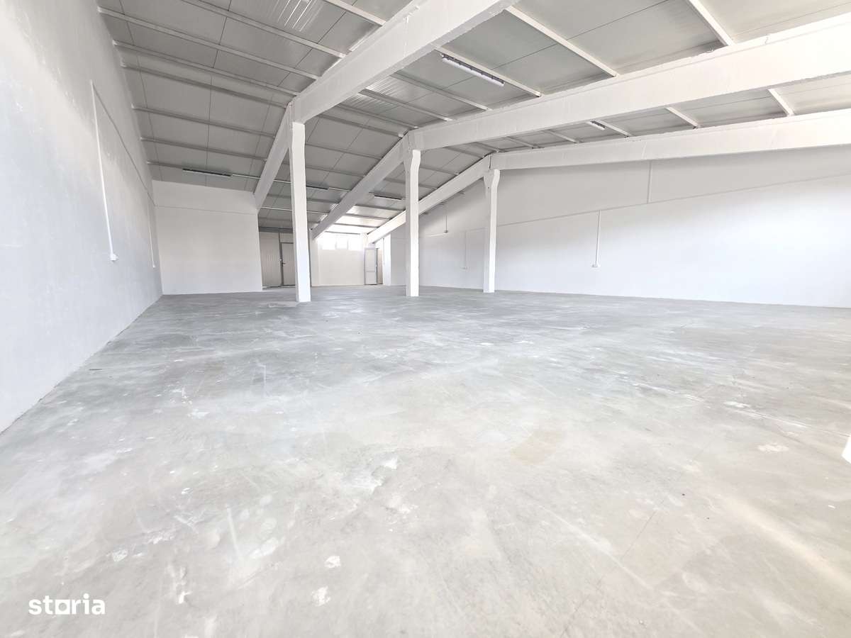 DE INCHIRIAT HALĂ PROFESIONALĂ  TOMEȘTI 165 MP  600 EURO (tva inclus) - Imagine principală: 2/6