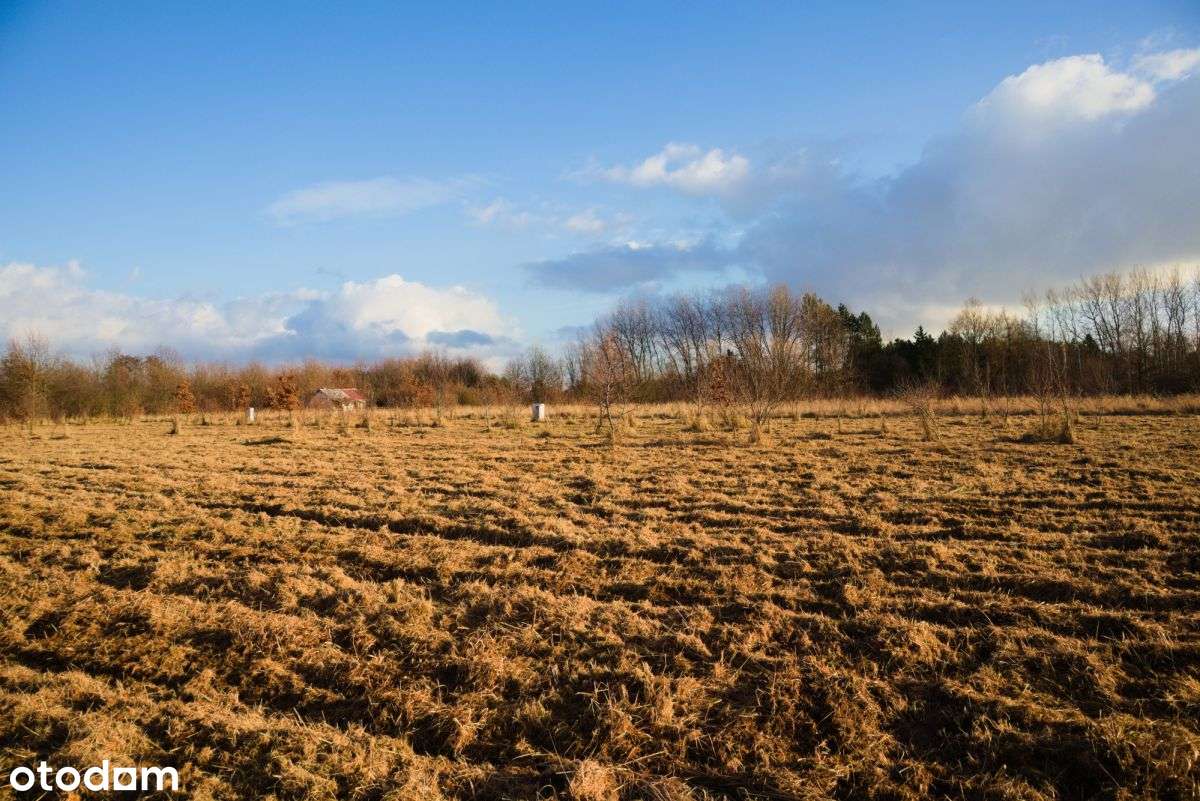 Działka przemysłowo-usługowa Wrocław, Strachowice - Pełny obrazek: 4/4