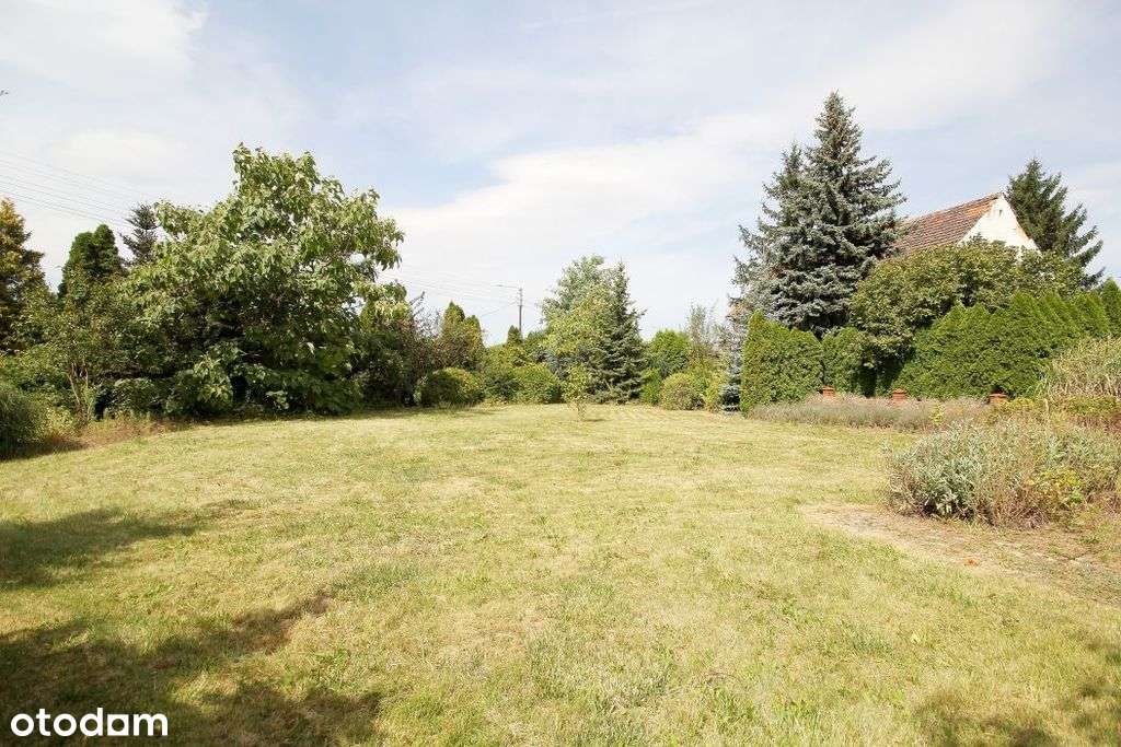 Działka budowlano-usługowa w sercu Parku - Pełny obrazek: 5/9