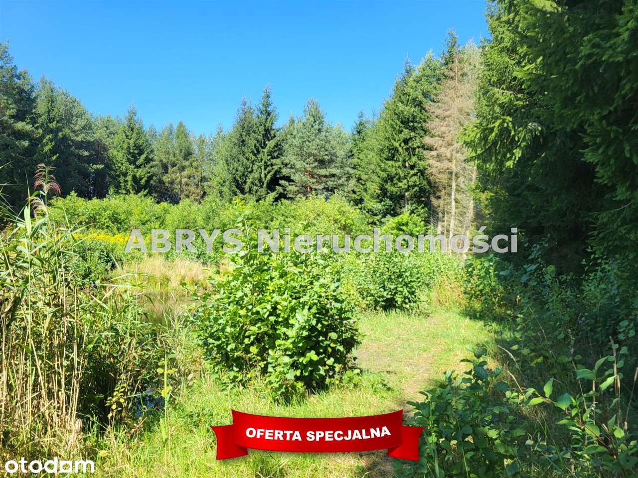 Działka Nieopodal Olsztyna !!! - Pełny obrazek: 4/10