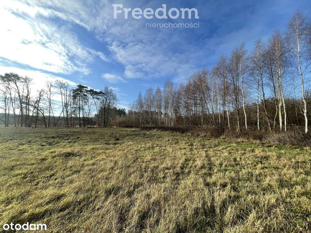 Działka przy lesie-3531m2 - Różankowo Świerczyny - Pełny obrazek: 4/6