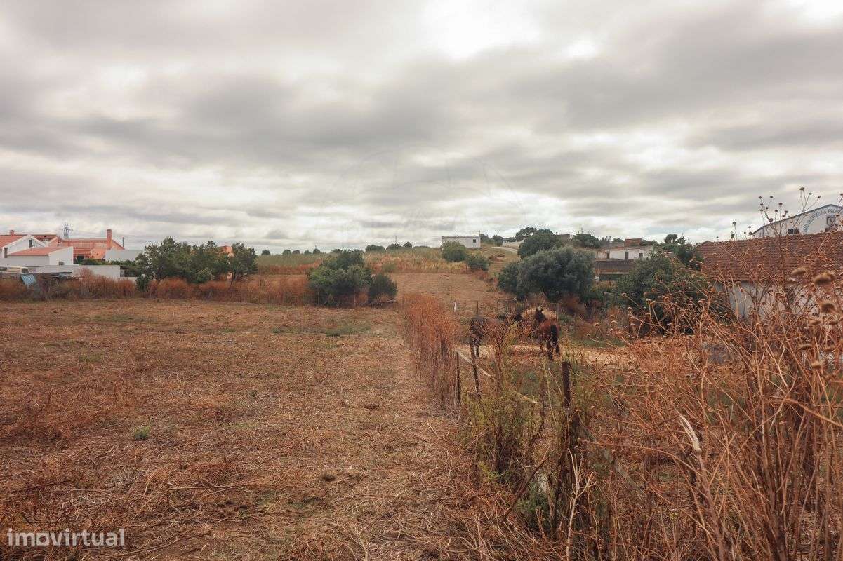 Quinta T3 para venda - Grande imagem: 5/44