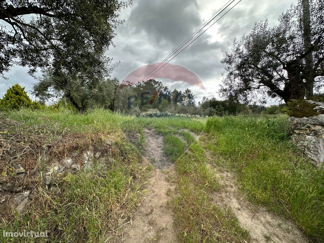 Terreno  para venda