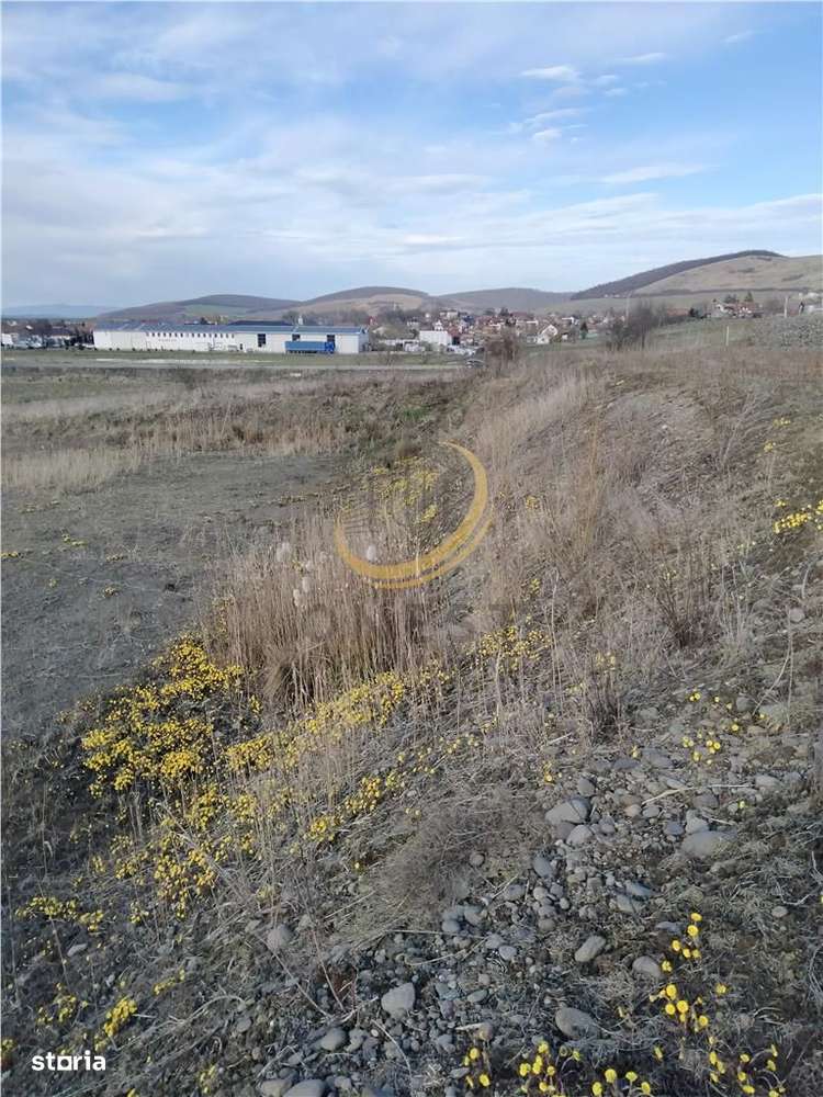 Teren industrial Ernei 1ha cu PUZ-11
