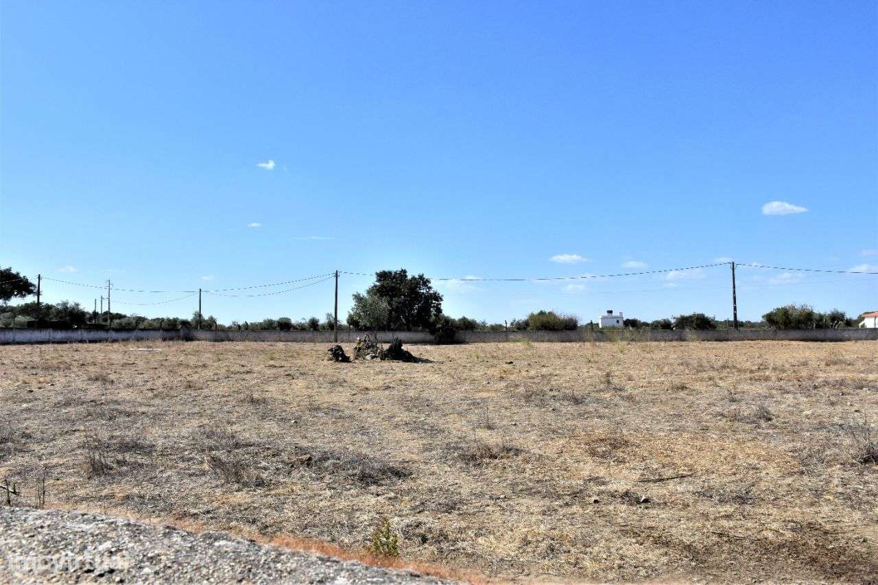 Quinta em Évora com 2,25 ha vocacionada para o mundo equestre-26