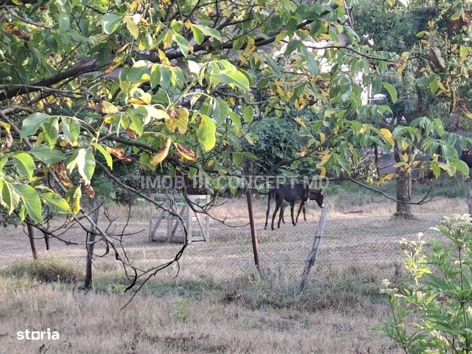 Teren spectaculos cu padure, livada si priveliste panoramica in Soimar-10