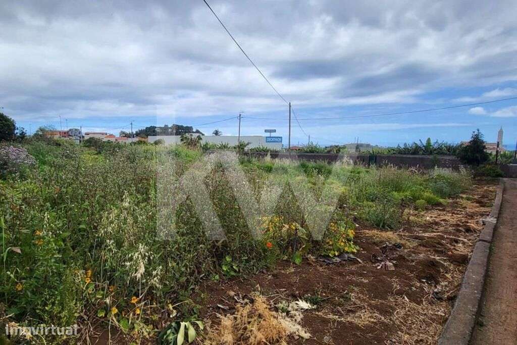 Terreno industrial de grandes dimensões em São Martinho - Grande imagem: 5/15