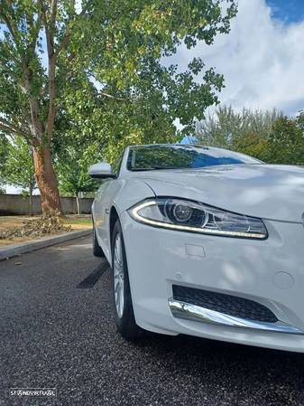 Jaguar XF 2.2 D Premium Luxury - 5