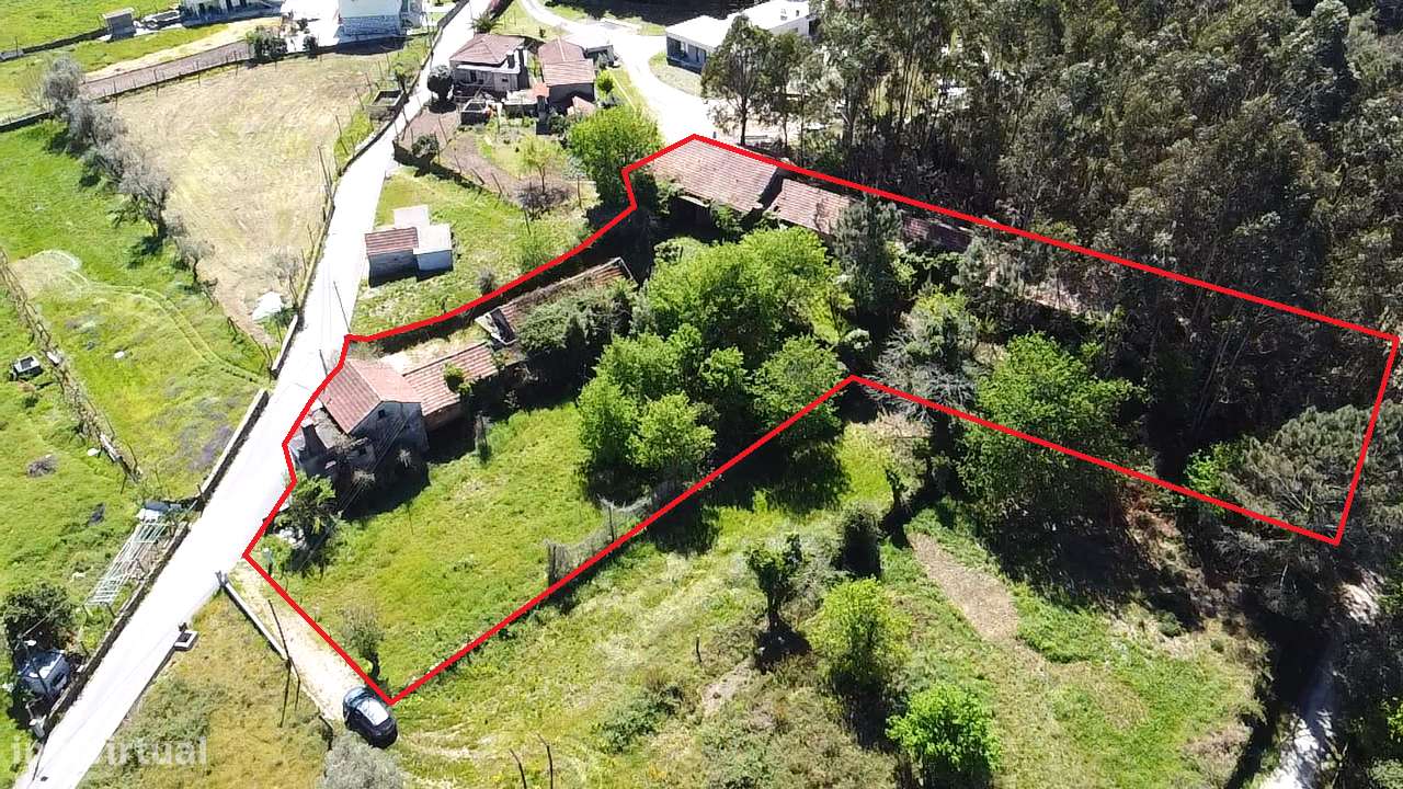 Quintinha – Oliveira de Frades-29