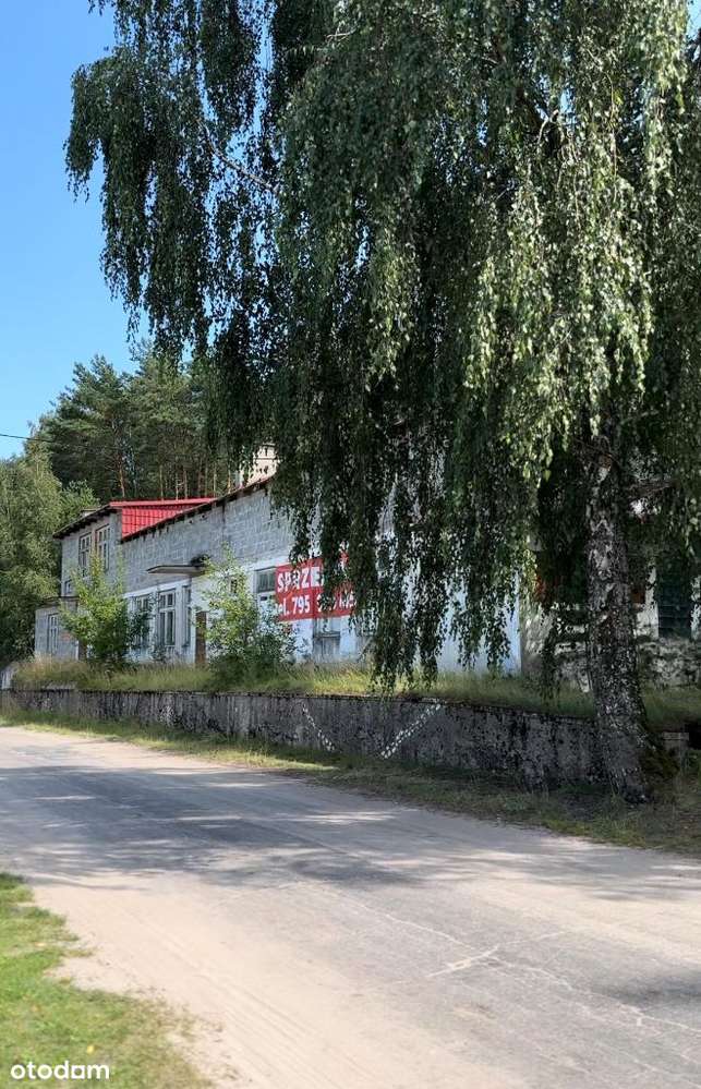 Budynek z działką nad jeziorem i lasem Gródek Kraj - Pełny obrazek: 4/6